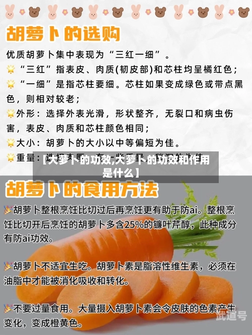 【大萝卜的功效,大萝卜的功效和作用是什么】