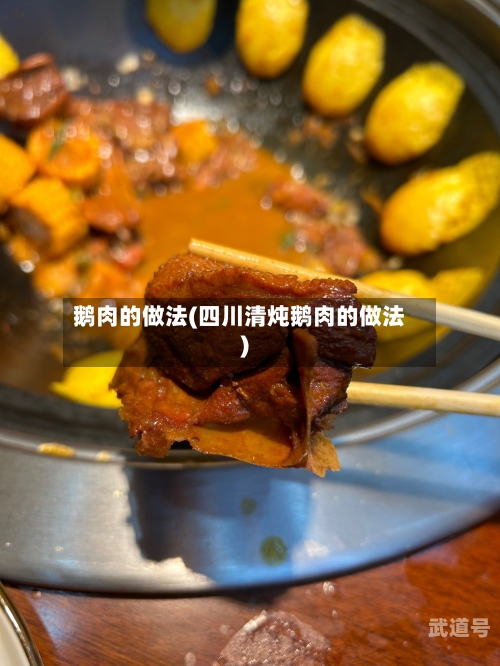 鹅肉的做法(四川清炖鹅肉的做法)