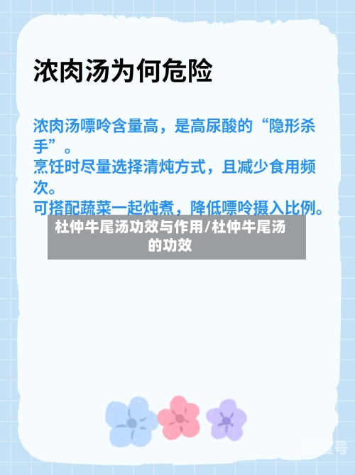 杜仲牛尾汤功效与作用/杜仲牛尾汤的功效