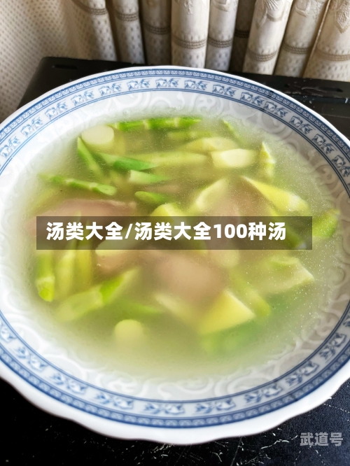 汤类大全/汤类大全100种汤
