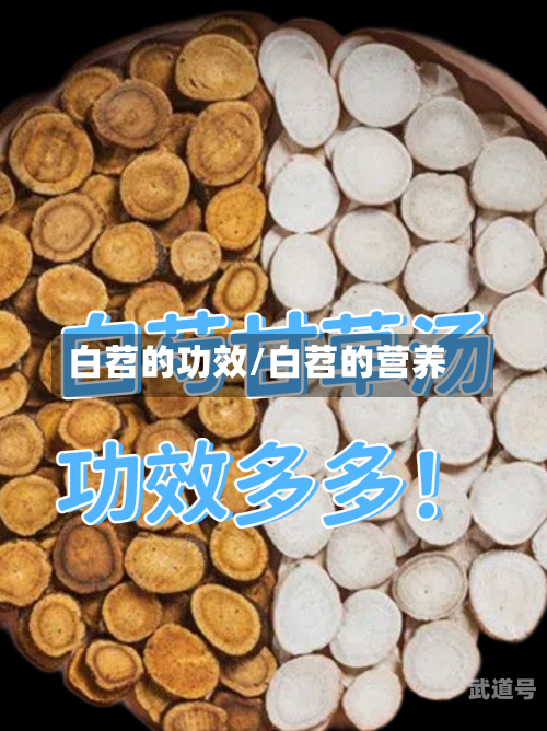 白苕的功效/白苕的营养