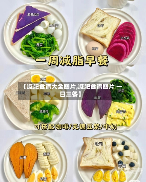 【减肥食谱大全图片,减肥食谱图片 一日三餐】