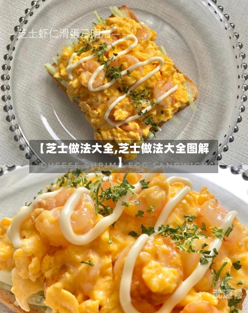 【芝士做法大全,芝士做法大全图解】