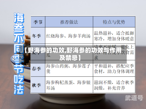 【野海参的功效,野海参的功效与作用及禁忌】
