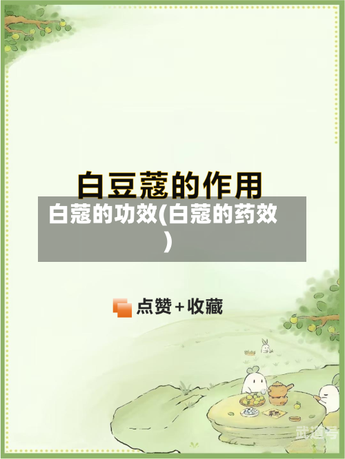 白蔻的功效(白蔻的药效)