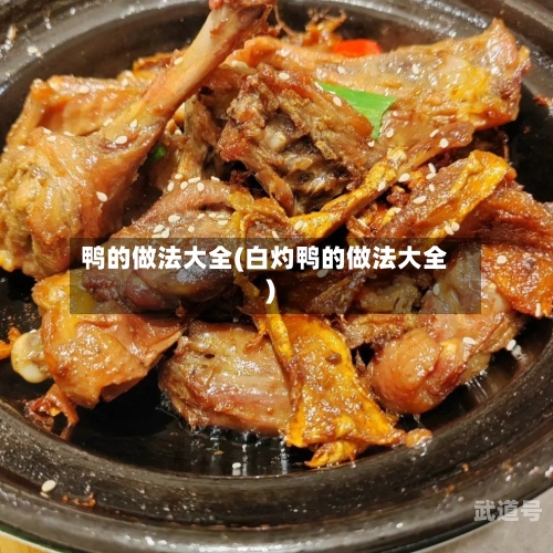 鸭的做法大全(白灼鸭的做法大全)