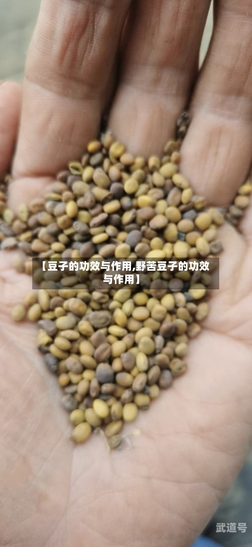 【豆子的功效与作用,野苦豆子的功效与作用】