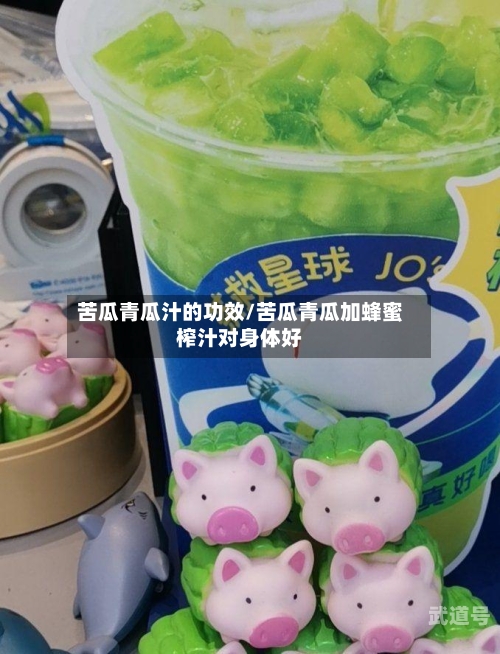 苦瓜青瓜汁的功效/苦瓜青瓜加蜂蜜榨汁对身体好
