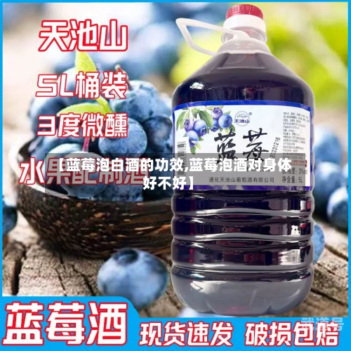 【蓝莓泡白酒的功效,蓝莓泡酒对身体好不好】