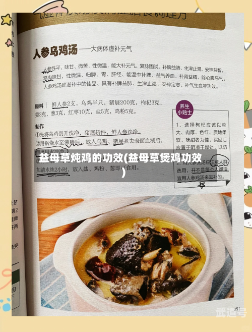 益母草炖鸡的功效(益母草煲鸡功效)
