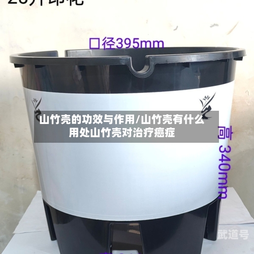 山竹壳的功效与作用/山竹壳有什么用处山竹壳对治疗癌症