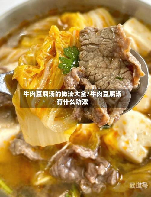 牛肉豆腐汤的做法大全/牛肉豆腐汤有什么功效