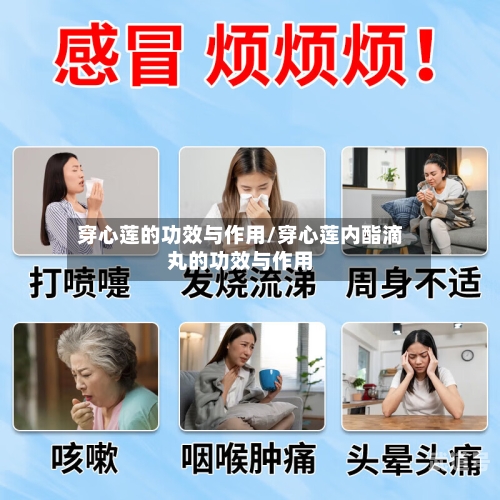 穿心莲的功效与作用/穿心莲内酯滴丸的功效与作用