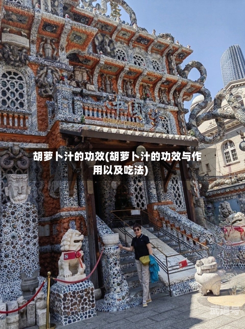 胡萝卜汁的功效(胡萝卜汁的功效与作用以及吃法)
