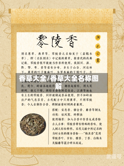 香草大全/香草大全名称图解
