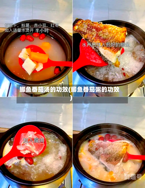 鲫鱼番茄汤的功效(鲫鱼番茄粥的功效)