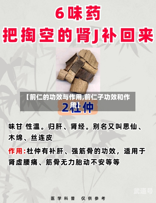 【前仁的功效与作用,前仁子功效和作用】