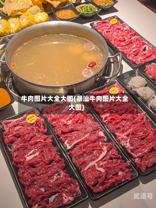牛肉图片大全大图(潮汕牛肉图片大全大图)