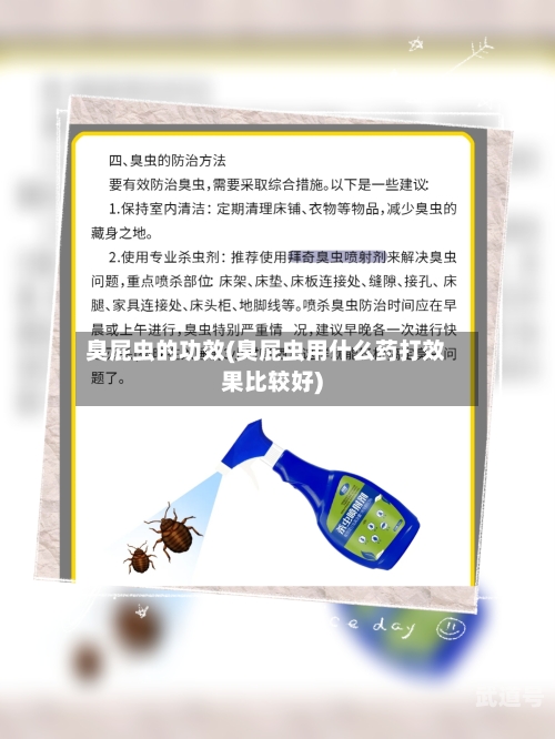 臭屁虫的功效(臭屁虫用什么药打效果比较好)