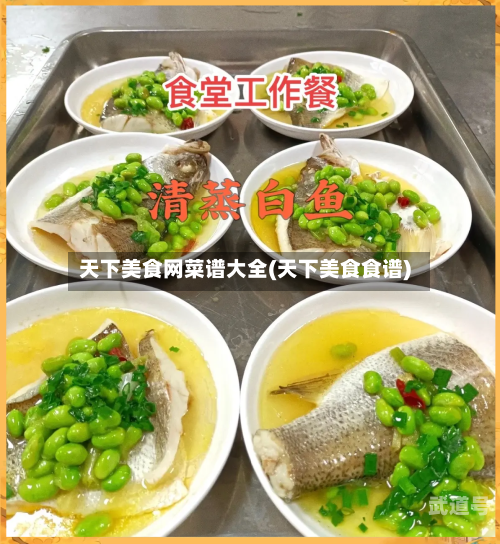 天下美食网菜谱大全(天下美食食谱)
