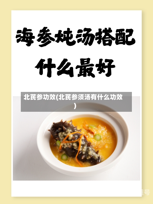 北芪参功效(北芪参须汤有什么功效)