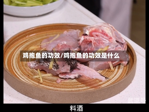 鸡抱鱼的功效/鸡抱鱼的功效是什么