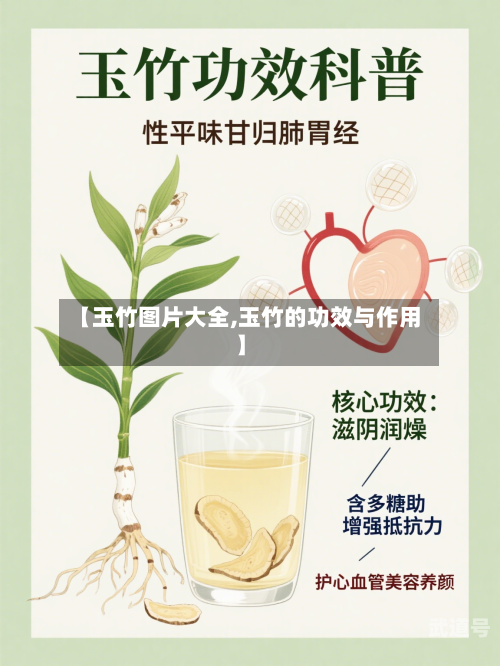 【玉竹图片大全,玉竹的功效与作用】