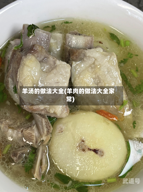 羊汤的做法大全(羊肉的做法大全家常)