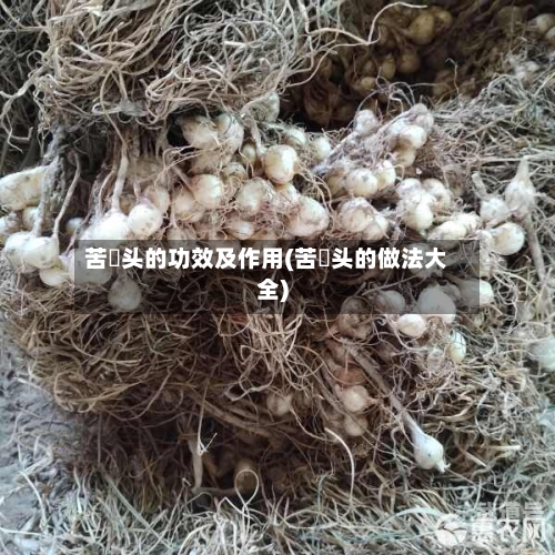 苦藠头的功效及作用(苦蕌头的做法大全)