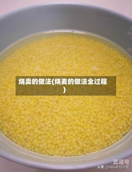 烧卖的做法(烧麦的做法全过程)