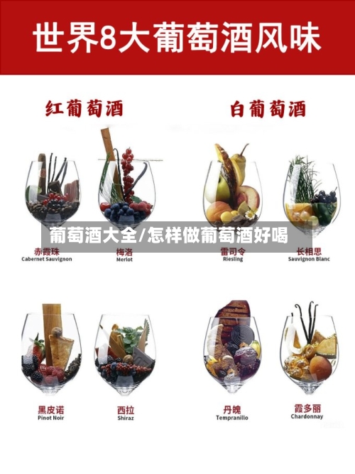 葡萄酒大全/怎样做葡萄酒好喝