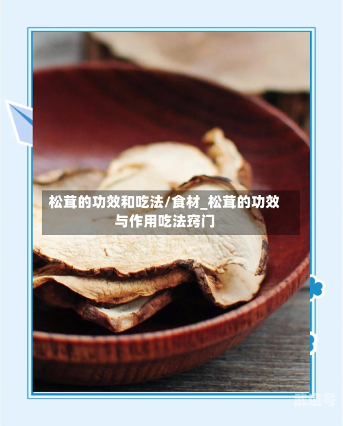 松茸的功效和吃法/食材_松茸的功效与作用吃法窍门