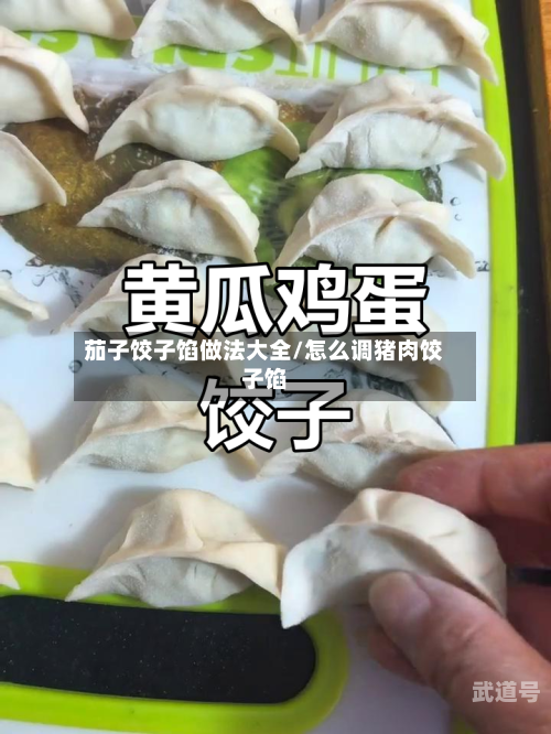 茄子饺子馅做法大全/怎么调猪肉饺子馅