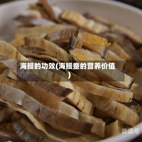 海鳗的功效(海鳗鲞的营养价值)