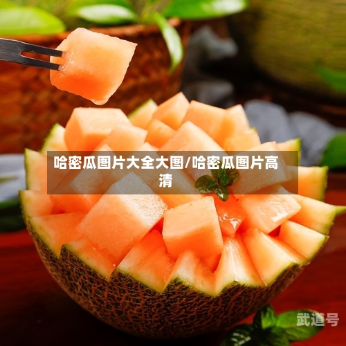 哈密瓜图片大全大图/哈密瓜图片高清