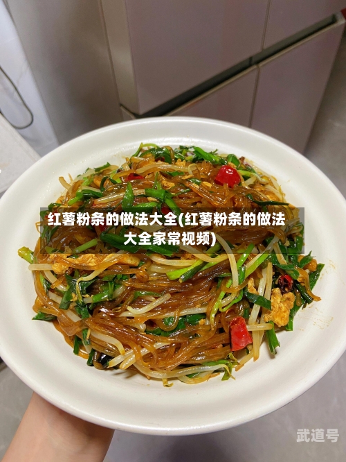 红薯粉条的做法大全(红薯粉条的做法大全家常视频)