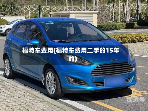 福特车费用(福特车费用二手的15年的)
