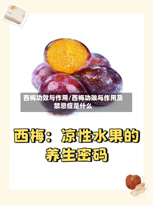 西梅功效与作用/西梅功效与作用及禁忌症是什么