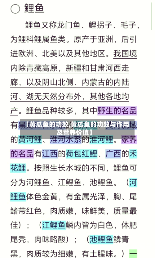 【黄瓜鱼的功效,黄瓜鱼的功效与作用及营养价值】