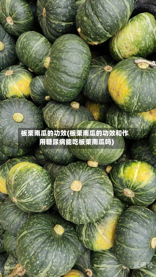 板栗南瓜的功效(板栗南瓜的功效和作用糖尿病能吃板栗南瓜吗)