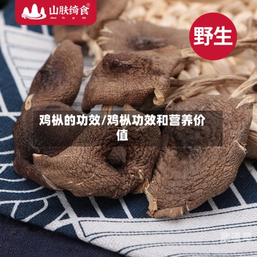 鸡枞的功效/鸡枞功效和营养价值