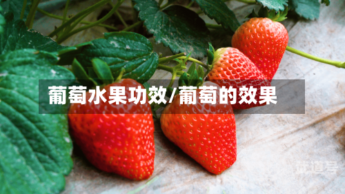 葡萄水果功效/葡萄的效果
