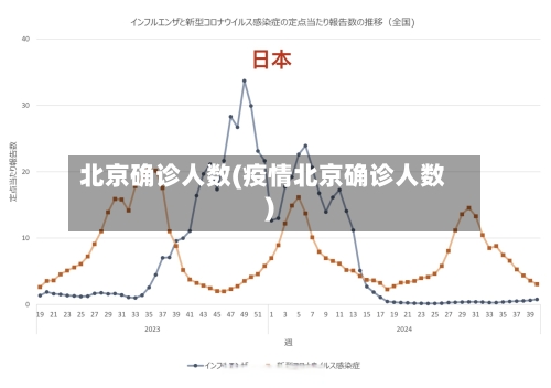 北京确诊人数(疫情北京确诊人数)