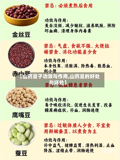 【山药豆子功效与作用,山药豆的好处与坏处】