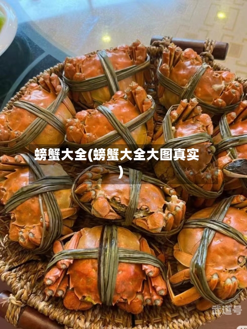 螃蟹大全(螃蟹大全大图真实)