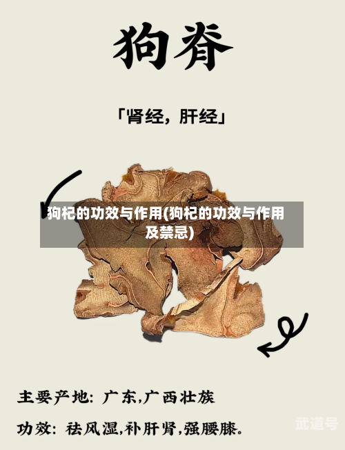 狗杞的功效与作用(狗杞的功效与作用及禁忌)
