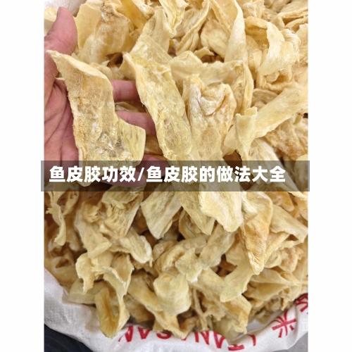 鱼皮胶功效/鱼皮胶的做法大全