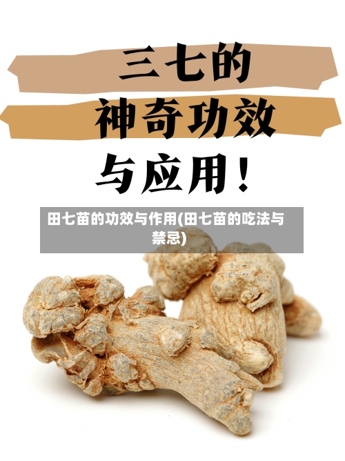 田七苗的功效与作用(田七苗的吃法与禁忌)