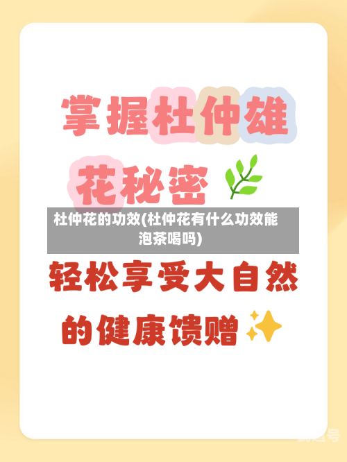 杜仲花的功效(杜仲花有什么功效能泡茶喝吗)