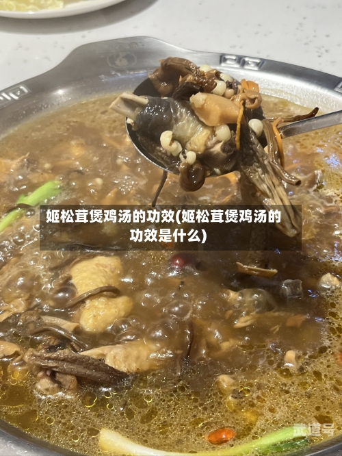 姬松茸煲鸡汤的功效(姬松茸煲鸡汤的功效是什么)